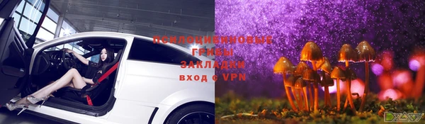 ешки Абаза