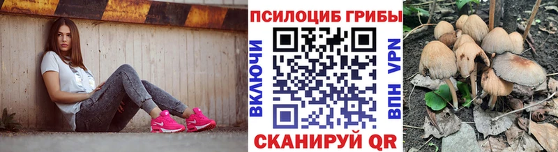 продажа наркотиков  Стрежевой  Галлюциногенные грибы мицелий 